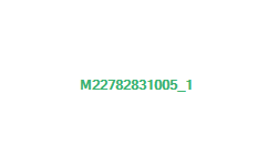 マグプル FPG コンバージョンキット