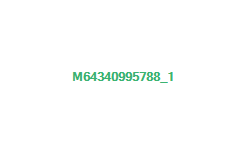 MSR エムエスアール ウィンドバーナー ソースポット 36006 2.5L